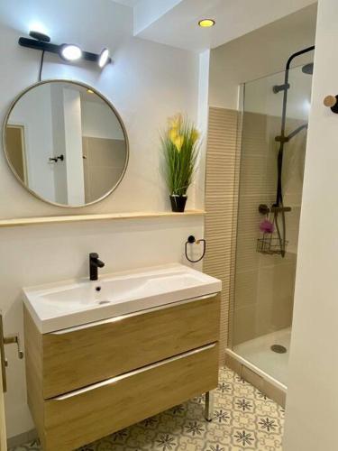 une salle de bain avec un lavabo, un miroir et une douche dans l'établissement Magnifique T3 rénové, 15min à pied CV, pkg privé, à Aix-en-Provence