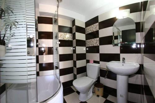 La salle de bains est pourvue de toilettes, d'un lavabo et d'une douche. dans l'établissement Casa Teodora Rânca, à Rânca