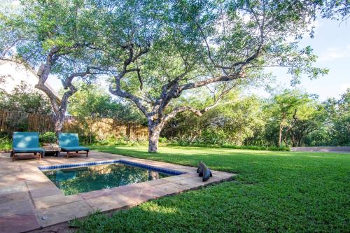 a backyard with a pool and two chairs in the grass at Braai Safaris Lodge in Hoedspruit
