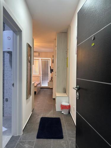Vannituba majutusasutuses Apartman Aleks