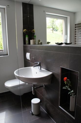 ein Badezimmer mit Waschbecken und Toilette und einem Fenster in der Unterkunft Weinrebe Oberhermsdorf nahe Dresden in Wilsdruff