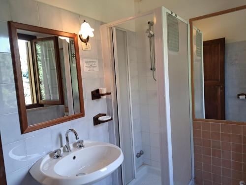 een badkamer met een wastafel en een douche met een spiegel bij Antico Borghetto - Casa Vacanze in Norcia
