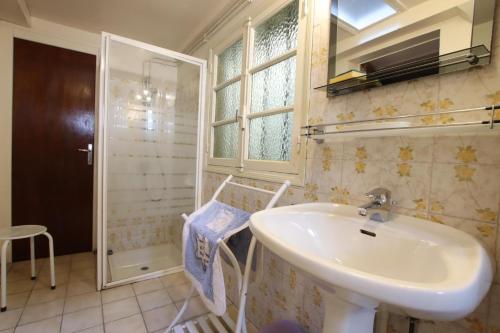 uma casa de banho com um lavatório e um chuveiro em Chez ladarre em Osse-en-Aspe