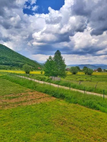 a field with a fence and a tree in the distance at Topla porodicna kuca in Berane