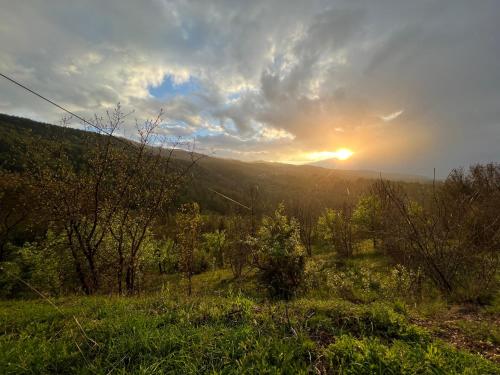 a view of the sunset from a field with trees at Tulipfaith Eco House in Safranbolu