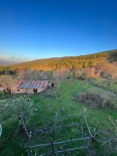 an old barn in a field with trees in the background at Tulipfaith Eco House in Safranbolu