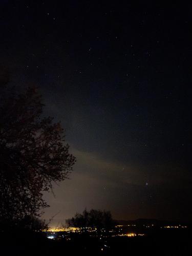 un cielo nocturno con un árbol y luces en Tulipfaith Eco House en Safranbolu