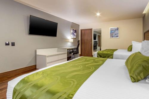 Postel nebo postele na pokoji v ubytování Quality Inn Chihuahua San Francisco