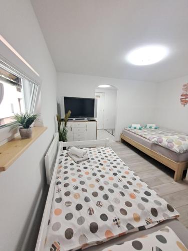 Una cama o camas en una habitación de Koča Martuljek