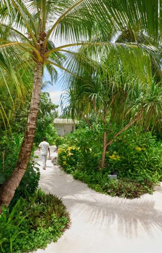 Κήπος έξω από το Alila Kothaifaru Maldives