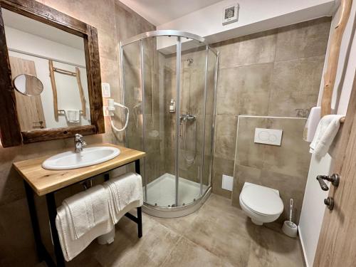ブレッドにあるRibno Alpine Hotelのバスルーム(シャワー、洗面台、トイレ付)