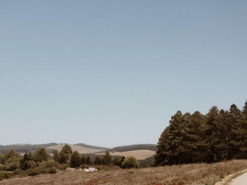 a dirt road in the middle of a field with trees at Zwakala River Retreat in Haenertsburg