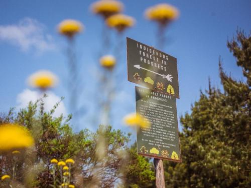 a sign in front of a bunch of yellow flowers at Zwakala River Retreat in Haenertsburg