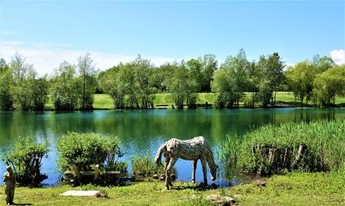 Un paisaje natural cerca del camping