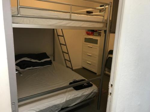 Mały pokój z łóżkiem piętrowym i drabiną w obiekcie Appartement les Myrtilles à Super Besse au pied des pistes w mieście Super Besse