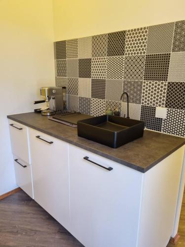 Köök või kööginurk majutusasutuses Glamping Zarasai