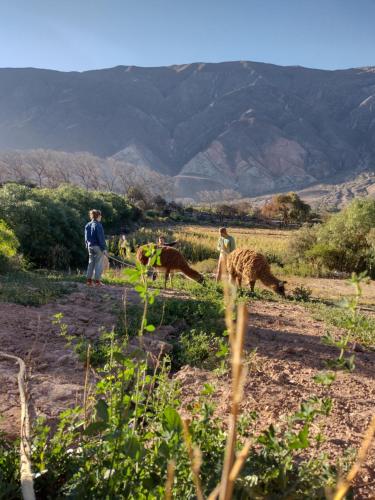 two people and a dog in a field with mountains in the background at Dormir con llamas in Maimará