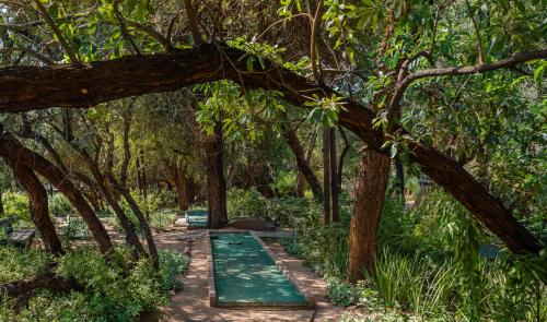 a path in the middle of a forest with trees at Kruger Gate Hotel in Skukuza