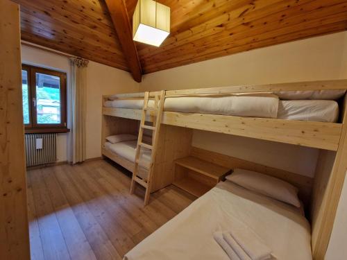 een kamer met 2 stapelbedden in een hut bij La Mansarda di nonna Delfa in Pinzolo