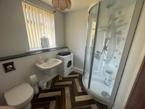 a bathroom with a shower and a toilet and a sink at Rowan Cottage Wanlockhead Dumfries & Galloway in Wanlockhead
