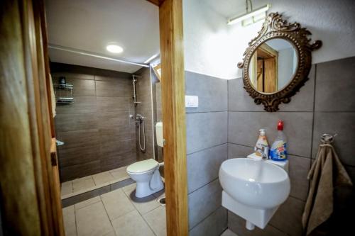 a bathroom with a toilet and a sink and a mirror at Vikendica za odmor Ušće in Banja Luka