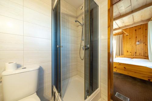 a bathroom with a shower and a toilet and a shower at Willa Krokus in Zakopane