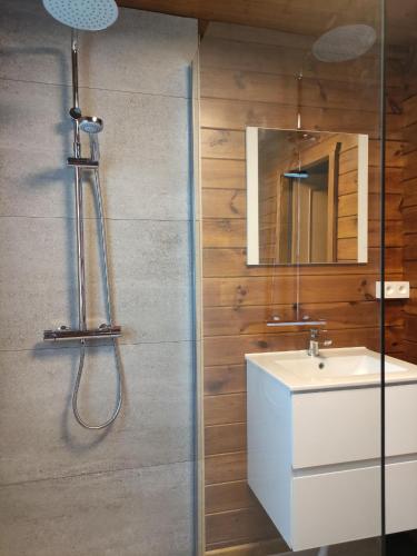 a bathroom with a shower with a sink and a mirror at bois de biron - gîte - vakantiehuis - chalet in Érezée