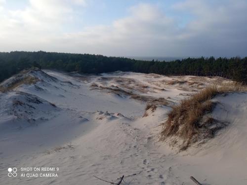 a sand dune with trees in the background at Szarga in Lubiatowo