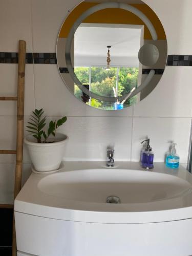 uma casa de banho com um lavatório e um espelho em Le Clos de Bourgueil em Sainte-Anne