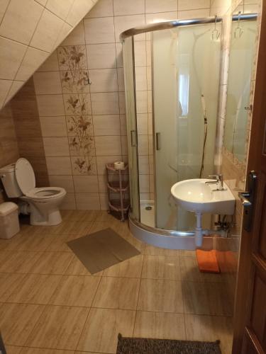 a bathroom with a shower and a toilet and a sink at U Wyrostków in Gliczarów Górny