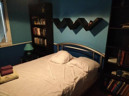 a bedroom with a bed and a book shelf at Chez Coco maison au coeur du parc régional du Quercy in Issendolus