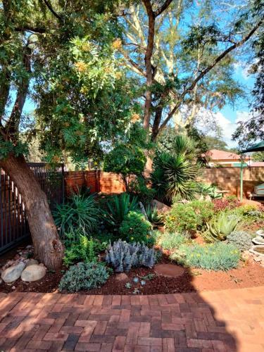 a garden with plants and a tree and a brick path at At Home Apartments in Mokopane