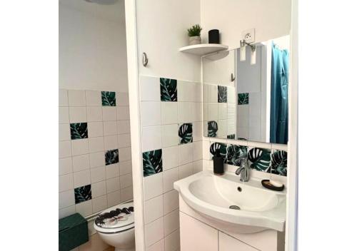 a bathroom with a sink and a toilet at Chez Aïda-Centre Ville Poitiers-La Conciergerie. in Poitiers