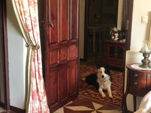 a dog sitting on a rug in front of an open door at Casa Rural con encanto Señorio Manchego ALBACETE in Yeste