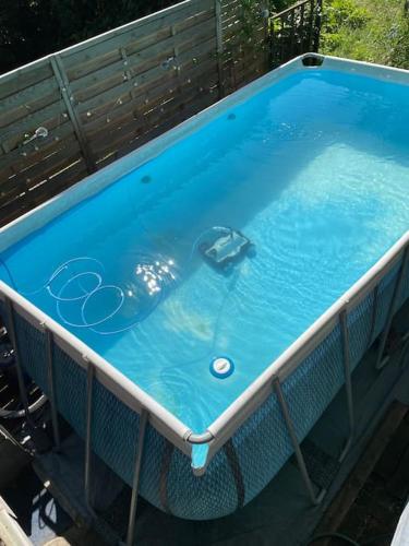 - une piscine avec un dauphin dans l'eau dans l'établissement Echappée urbaine avec piscine et climatisation, à Bordeaux