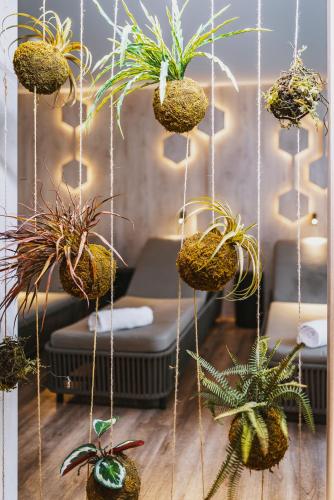 Zona de estar de Elements Resort Zell am See BW Signature Collection