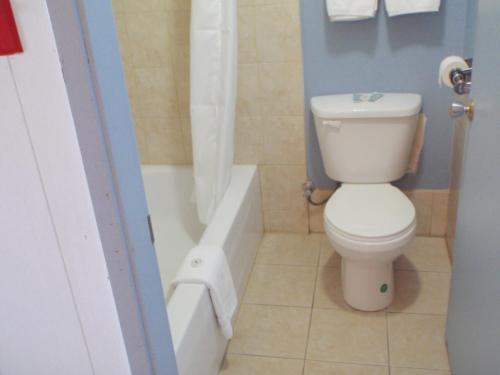 a bathroom with a toilet and a bath tub at Trans Canada Motel in Kamloops