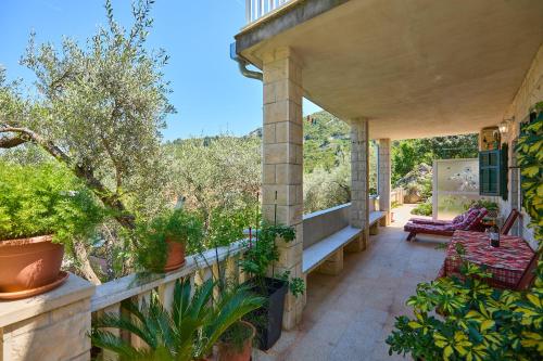 Κήπος έξω από το Island Getaway apartments Mljet