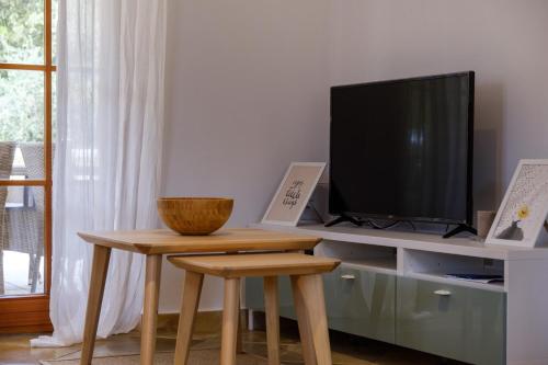 TV a/nebo společenská místnost v ubytování Villa VALERIE with pool and sea view