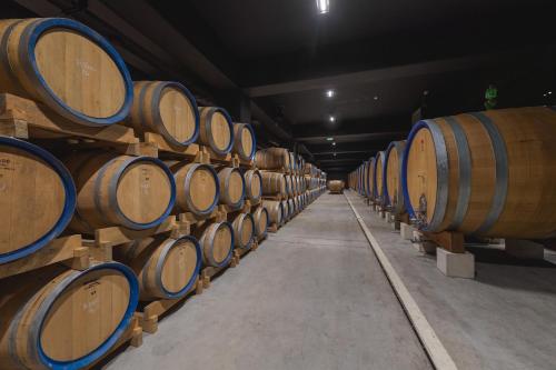 a row of wine barrels in a cellar at Winery & Design hotel ROXANICH in Motovun