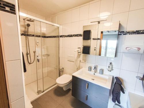 a bathroom with a shower and a toilet and a sink at DAS PALMBERGER in Spiegelau