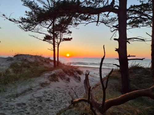 een zonsondergang op een strand met bomen en de oceaan bij DIENVIDI in Bernāti