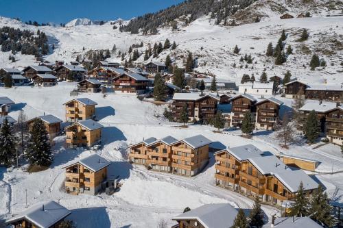 an aerial view of a resort in the snow at Vieux Valais BeeValais 1 in Riederalp