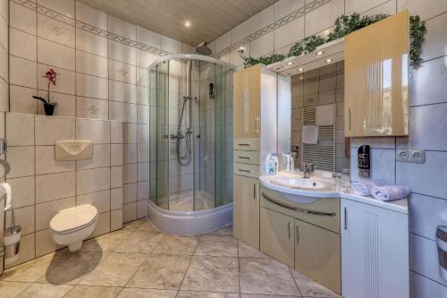 a bathroom with a shower toilet and a sink at Hotel Bayerischer Hof in Bodenmais