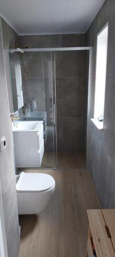 uma casa de banho com um chuveiro, um WC e um lavatório. em GREEN GARDEN BLOK X em Middelkerke