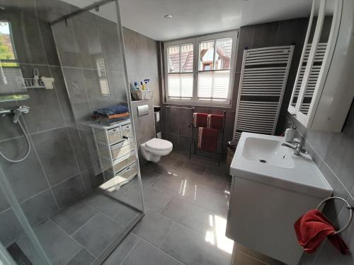 ein Bad mit einer Dusche, einem WC und einem Waschbecken in der Unterkunft Ferienwohnung Camino in Jockgrim