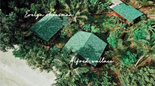 an overhead view of a resort with palm trees at Raja Ampat Eco Lodge in Tapokreng