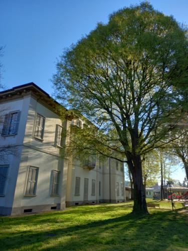 a tree in front of a large white house at Vivila - Ca' Foulard in Cernusco sul Naviglio