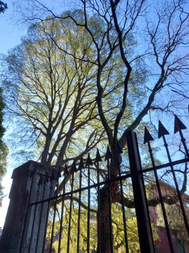 a fence with flags on it with trees in the background at Vivila - Ca' Foulard in Cernusco sul Naviglio