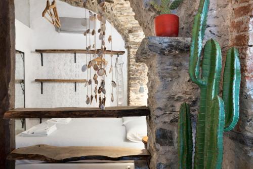 een kamer met een cactus aan de muur bij Green Cactus House in La Spezia